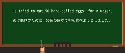 wager 意味|WAGER .